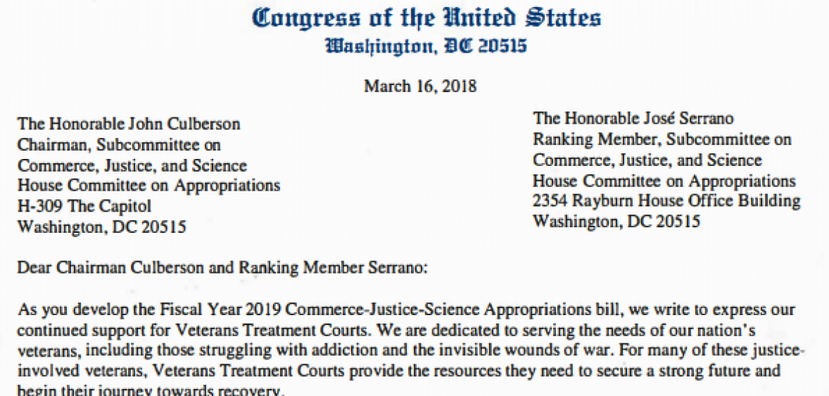 Veterans Treatment Court Letter